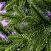 Ель CRYSTAL TREES ПАРИЖСКАЯ НОЧЬ 210 см. KP64210